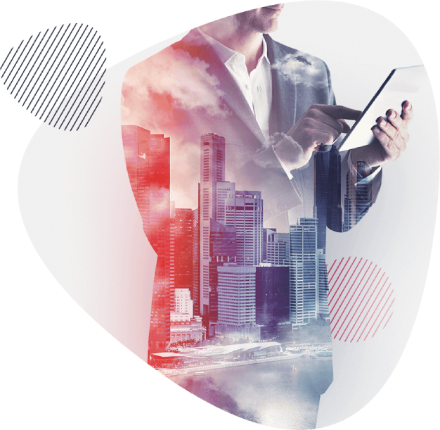 forex contact